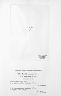Image Associated With the Occurence